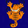 Cartoons Garfield Garfield scratching screen 895