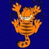 Cartoons Garfield  10062
