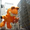 Cartoons Garfield  10071