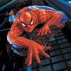 Cartoons Spider Man  10271