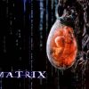 Filme Diverse Matrix 5412