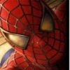 Filme Diverse Spiderman's Face 5750