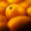 Fructe Diverse Mandarine 6440