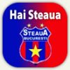 Sport Fotbal Steaua 6451