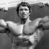Sport Culturism Arnold Schwarzenegger 6619