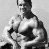 Sport Culturism Arnold Schwarzenegger 6620