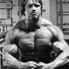 Sport Culturism Arnold Schwarzenegger 6621