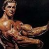 Sport Culturism Arnold Schwarzenegger 6622