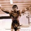 Sport Culturism Arnold Schwarzenegger 6623