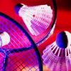 Sport Diverse Badminton 6834
