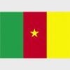 Simboluri Steaguri Cameroon 8311