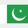Simboluri Steaguri Pakistan 8453
