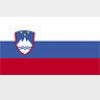 Simboluri Steaguri Slovenia 8487