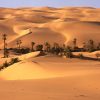 Peisaje Desert  8694