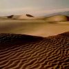 Peisaje Desert  8768